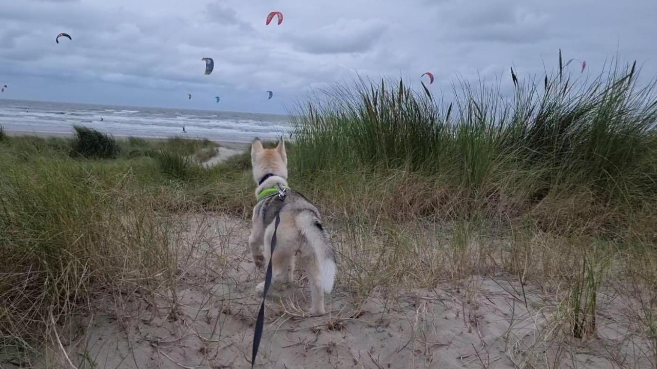 Vila Surfin Koksijde Exteriér fotografie